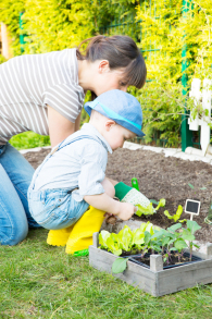 Gärten und Immobilien sind für Kinder ideal. Bei uns finden Sie Ihren Wohn(t)raum
